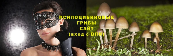 героин Алексин
