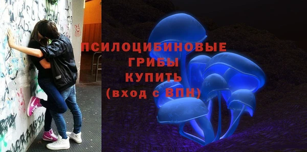 бошки Алексеевка