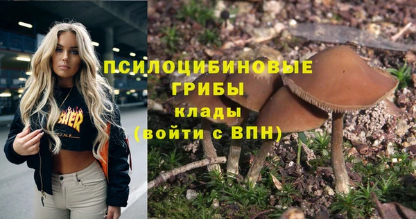бошки Алексеевка