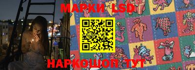 стафф Донской