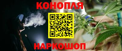 стафф Донской