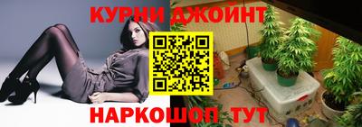 стафф Донской