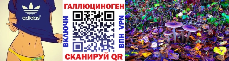 Галлюциногенные грибы мицелий  купить закладку  Нефтекумск 