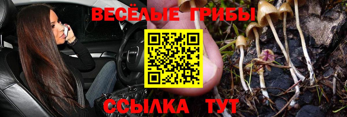 Псилоцибиновые грибы мицелий Нефтекумск
